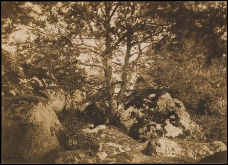 Gustave Le Gray, ‘[Oak Tree and Rocks, Forest of Fontainebleau]’, 1849–1852