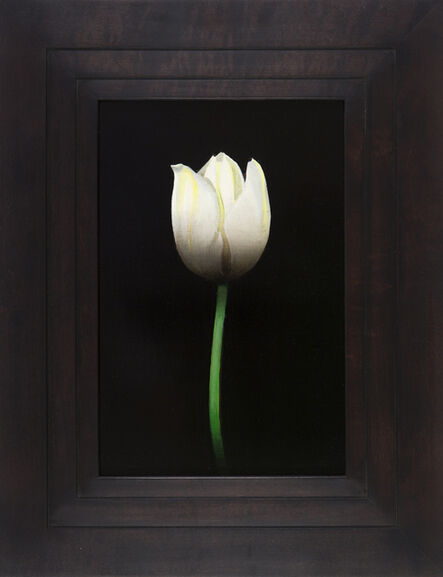 Michael Gregory, ‘Untitled (tulip) ’, 2014
