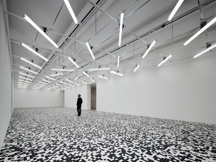 Tauba Auerbach, ‘50/50 Floor, Installation view "Field Conditions"’, 2008