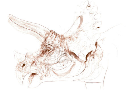 Dave White, ‘Triceratops VI’, 2020