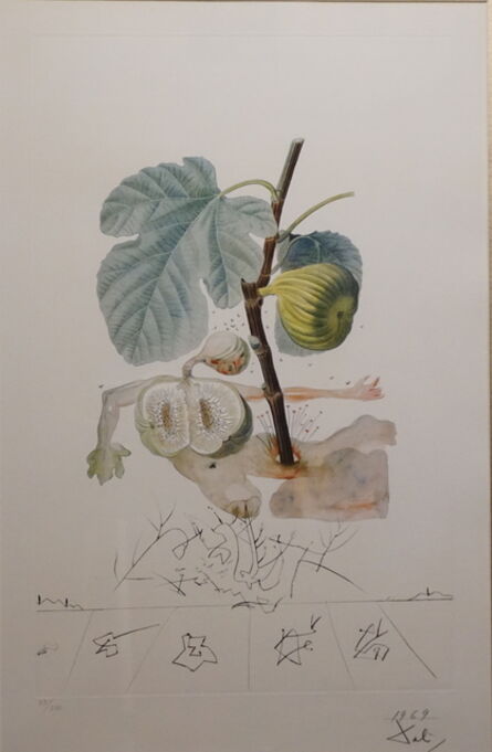 Salvador Dalí, ‘FlorDali/Les Fruits Fig’, 1969