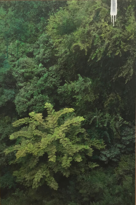 Honggoo Kang, ‘Study of Green-grove 2’, 2015