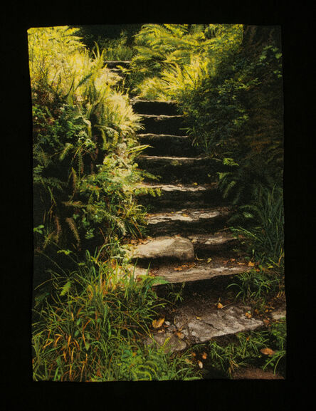 Carol Shinn, ‘Forest Steps’, 2020
