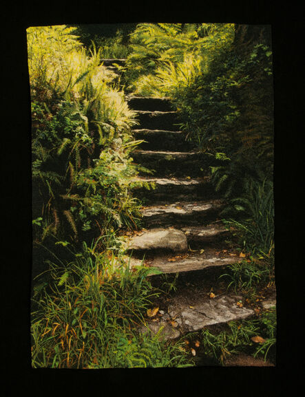 Carol Shinn, ‘Forest Steps’, 2020
