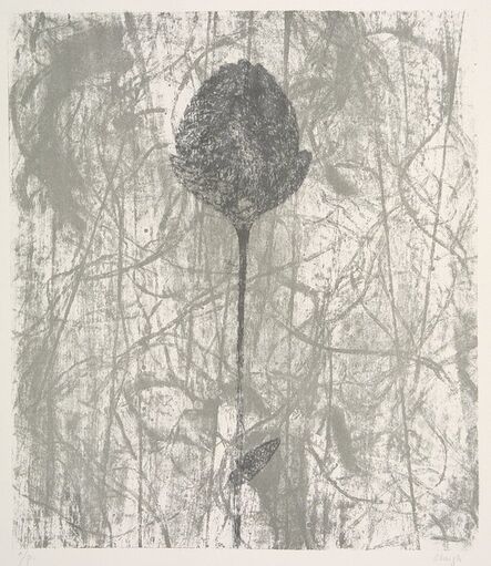 Prunella Clough, ‘Black Peony (Paper Flower)’, 1984