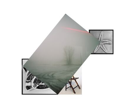 Barbara Rosenthal, ‘Conceptual Composite- Pensylvania Haze Broken Plate Chair Starfish’, 2010