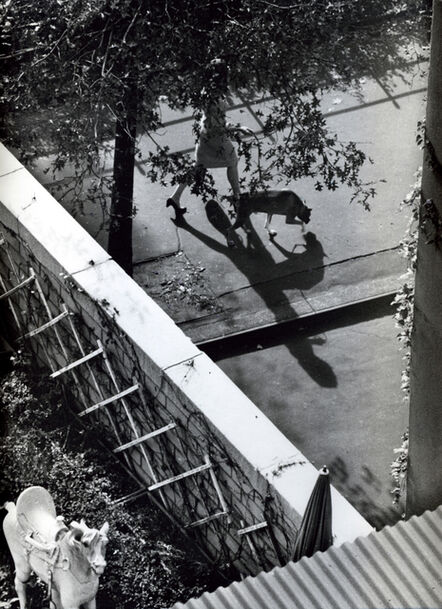 André Kertész, ‘New York ( Woman Walking Dog)’, 1962