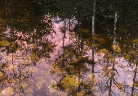 Jeanine Michna-Bales, ‘Mirrored Worlds, Big Cypress Swamp, Florida’, 2018