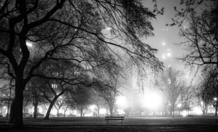Kirill Polevoy, ‘Lincoln Park Fog, Chicago’, 2013