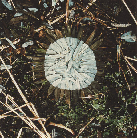Andy Goldsworthy, ‘Willow leaf patch, Izumi-mura, Japan, December 23rd, 1987’, 1987