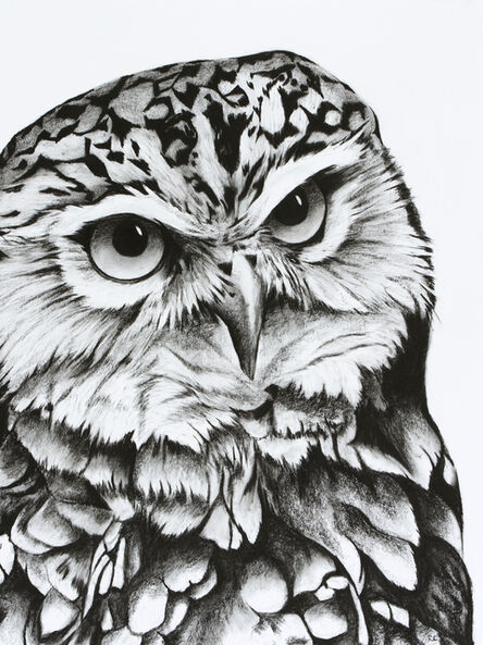Rose Corcoran, ‘4. Burrowing Owl’, 2018