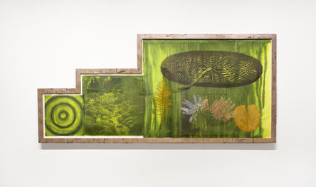Judy Pfaff, ‘Untitled (Target, Garden, Lily Pad)’, 2001