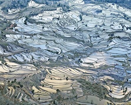 David Burdeny, ‘Rice Terraces, (Laohuzui I), Yunnan, China’, 2013