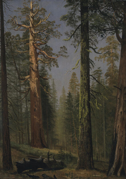 Albert Bierstadt, ‘The Grizzly Giant Sequoia, Mariposa Grove, California’, ca. 1872-1873