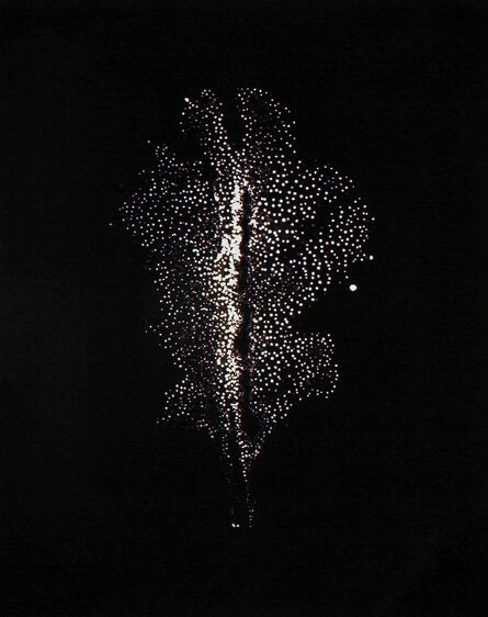 Wataru Yamamoto, ‘A Chrysanth Leaf 8, from the series "Leaf of Electric Light"’, 2012