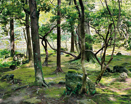 Jacqueline Hassink, ‘Saihō-ji 10, summer Southwest Kyoto 30 May 2009 (13:00–15:00)’, 2009