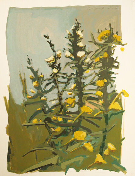 Robert Dash, ‘Field Flower’, ca. 1980