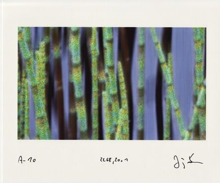 Jörg Sasse, ‘Arbeiten am Bild’, 2001
