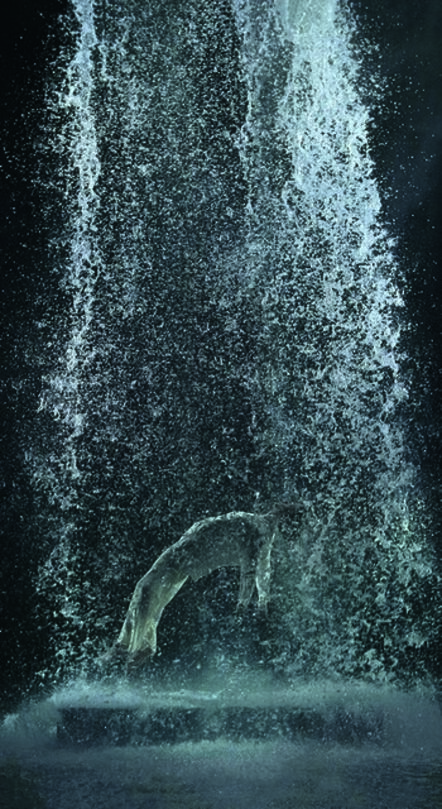 Bill Viola, ‘Tristanâ??s Ascension (The Sound of a Mountain Under a Waterfall)’, 2005