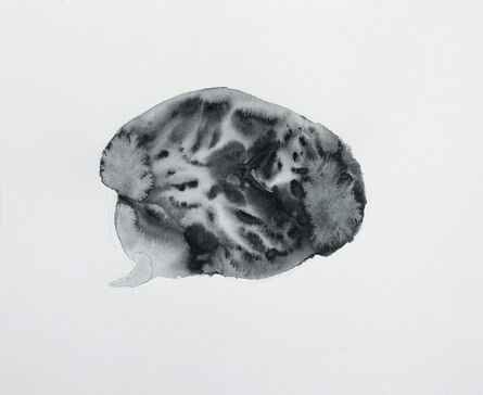 Razvan Anton, ‘Brain’, 2013