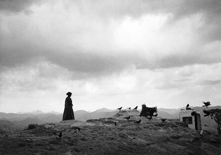 Zhong Guohua, ‘The Nun feeding magpies and crows’, 2016