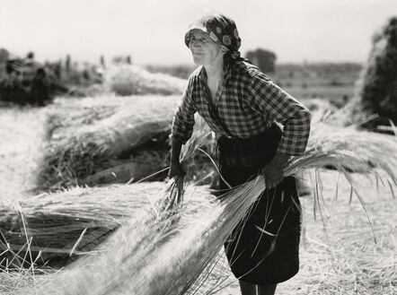 Neil Folberg, ‘Woman gathering wheat’, 1971