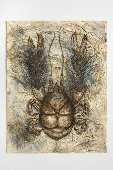 Jeffrey Vallance, ‘Yeti Crab (Kiwa hirsuta)’, 2016