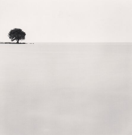 Michael Kenna, ‘Biwa Lake Tree, Study 3, Omi, Honshu, Japan. ’, 2003