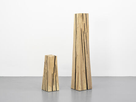 David Nash, ‘Lined Beech Columns’, 2019
