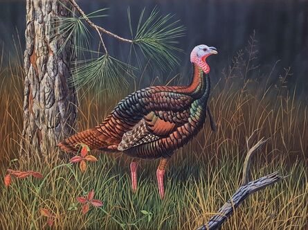 Ron Louque, ‘Eastern Wild Turkey’, 1976