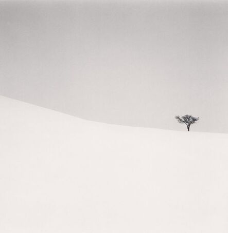 Michael Kenna, ‘Single Tree, Mita, Hokkaido, Japan’, 2007