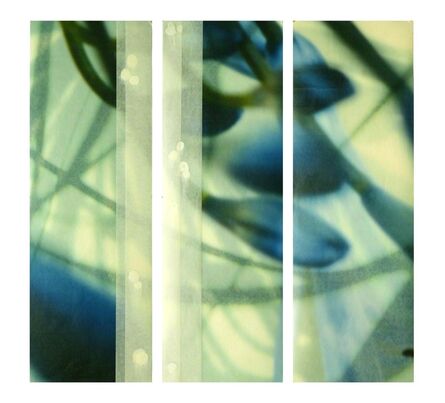 Jane Guthridge, ‘The Space Between Triptych 21’
