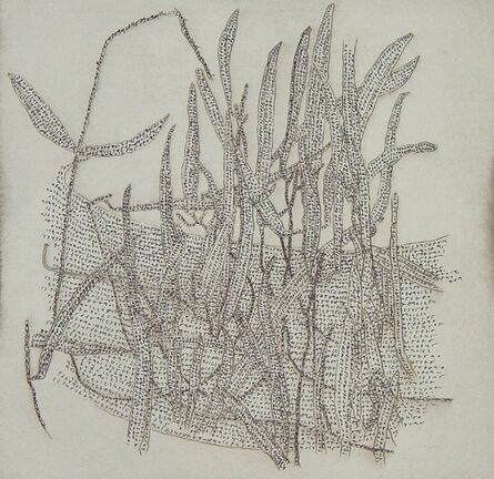 Yizhak Elyashiv, ‘untitled (plant numbers)’, 2010