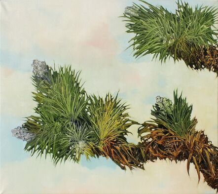 Robert Dunahay, ‘Joshua Tree Branches’, 2012