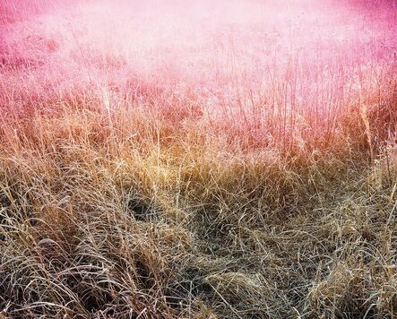 Christian Patterson, ‘Prairie Grass Leak’, 2009