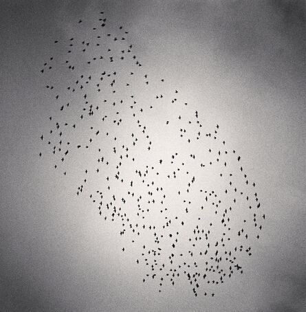 Michael Kenna, ‘Four Hundred and Seventy Five Birds, Durham, England’, 1991