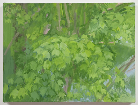 Sylvia Plimack Mangold, ‘The Maple Tree (Summer)’, 2011
