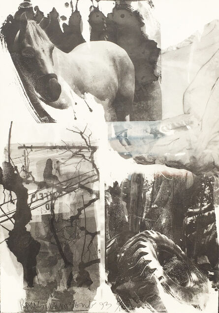 Robert Rauschenberg, ‘Horse Silk (Deluxe Edition)’, 1993