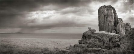 Nick Brandt, ‘Lion with Monolith, Serengeti, 2008’