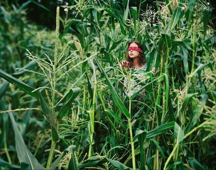 Carolyn Monastra, ‘The Corn Field’, 2003