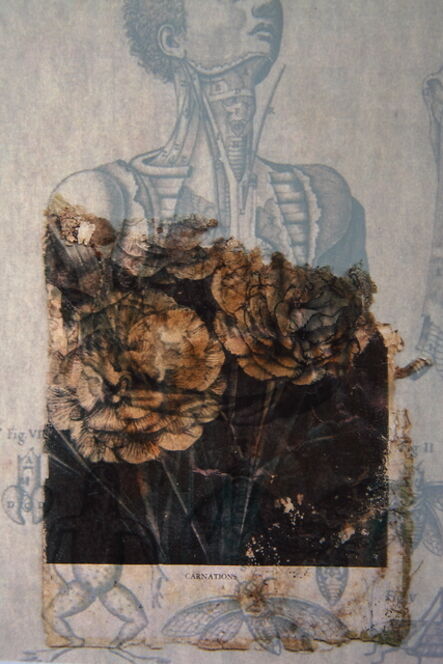 Lien Botha, ‘Carnations’, 2020