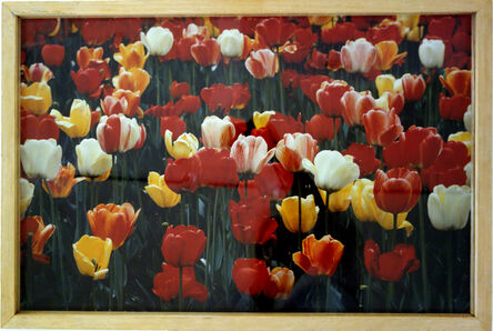 Henry Buhl, ‘Tulips’, 1985