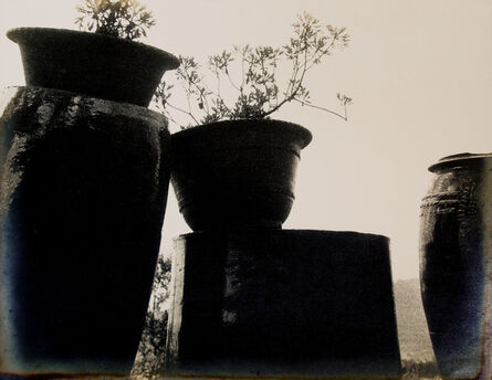 Teng Nan-kuang, ‘Home Garden’, 1960