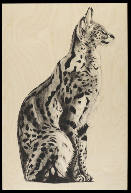 Rose Corcoran, ‘29. Wood Serval 1’, 2018