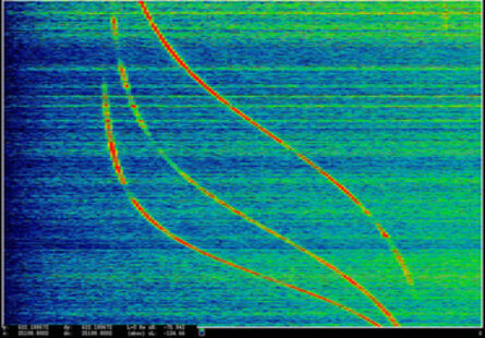 Laura Poitras, ‘ANARCHIST: Data Feed with Doppler Tracks from a Satellite (Intercepted May 27, 2009)’, 2016