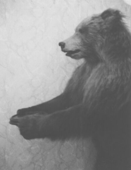 Patti Smith, ‘Tolstoy's bear, Moscow’, 2005