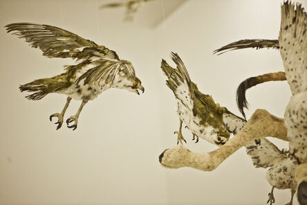 Cai Guo-Qiang 蔡国强, ‘Flying Together’, 2011