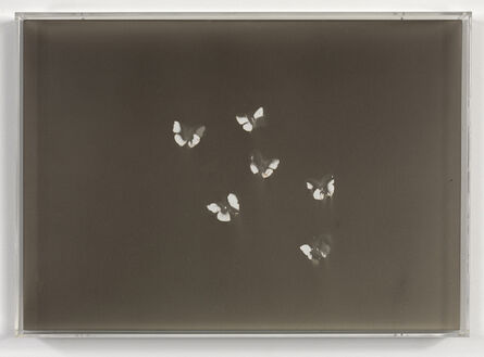 Claudio Parmiggiani, ‘Untitled ’, 2011
