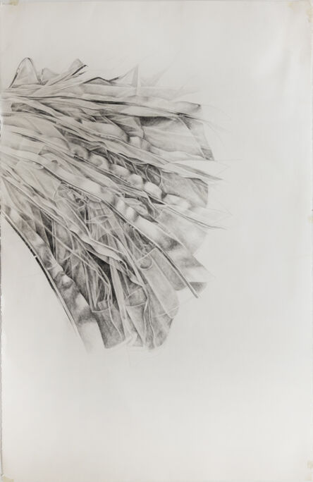 Stephanie Serpick, ‘Drawing 8’, 2011