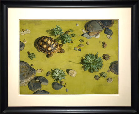 Jeffrey Ripple, ‘Tortoise’, 2005